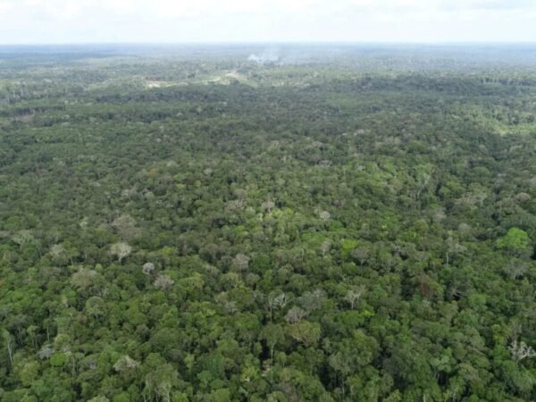 Amazonas registra aumento de 20% nos focos de calor em agosto; Apuí concentra 34% dos registros