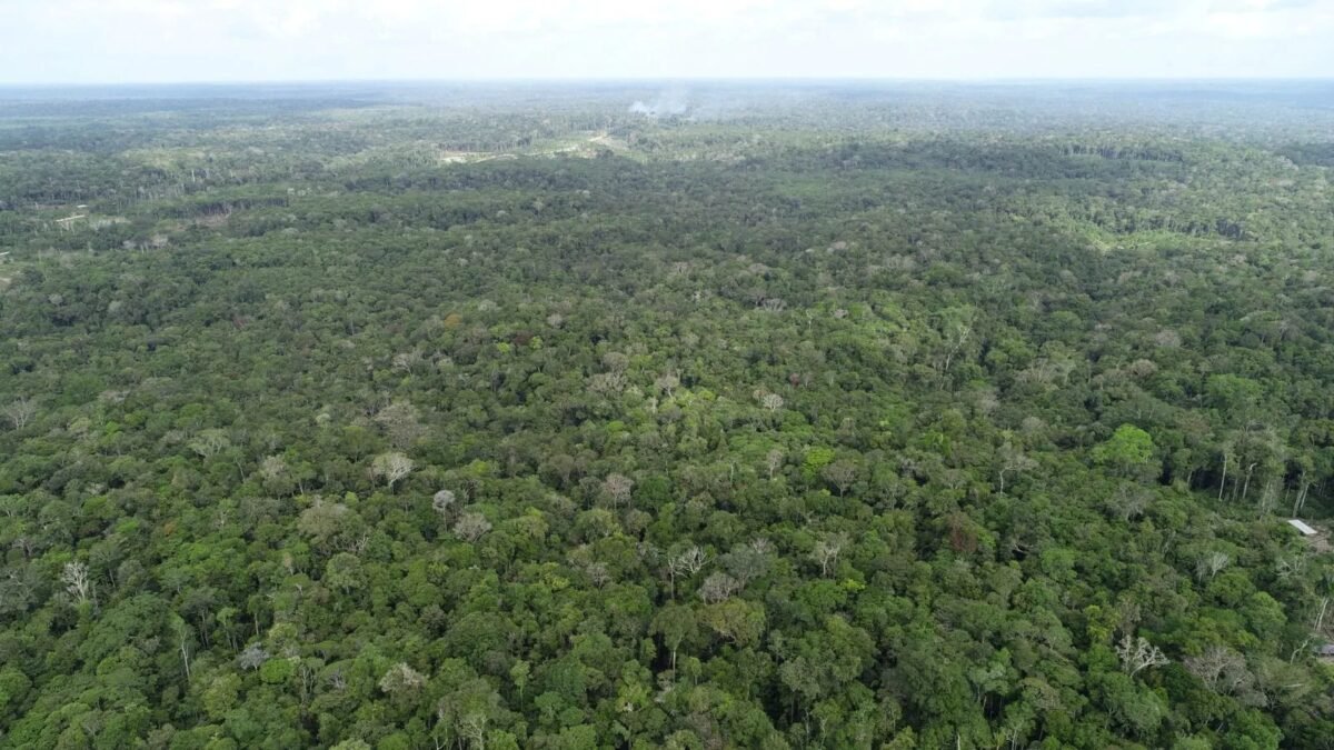 Amazonas registra aumento de 20% nos focos de calor em agosto; Apuí concentra 34% dos registros