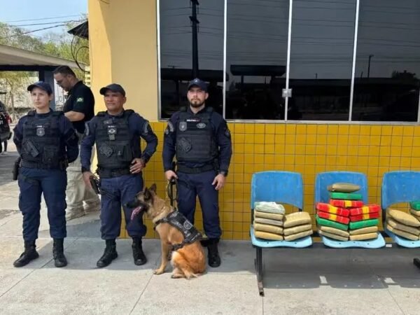 Operação conjunta apreende 30 kg de drogas na capital