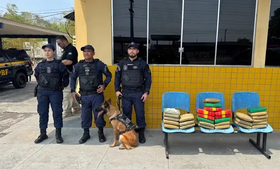Operação conjunta apreende 30 kg de drogas na capital