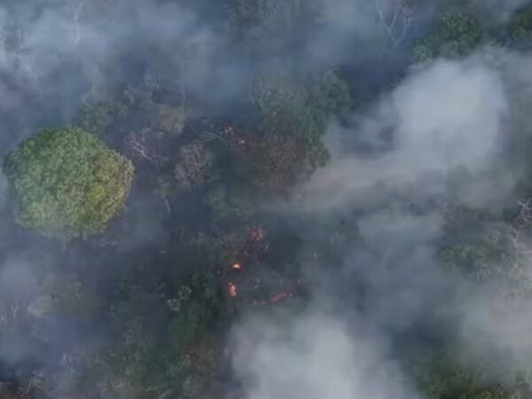 Incêndio na BR-319 chega ao terceiro dia de combate
