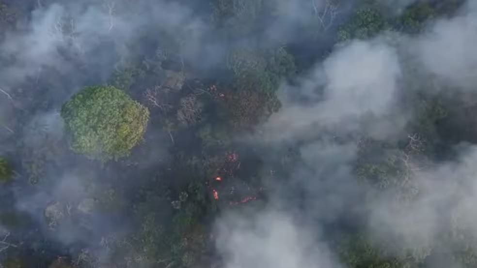 Incêndio na BR-319 chega ao terceiro dia de combate