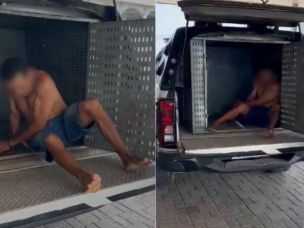Homem preso em flagrante por espancar cachorro no interior do Amazonas