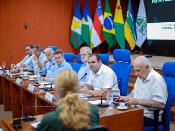 Governo do Amazonas intensifica combate a queimadas ilegais