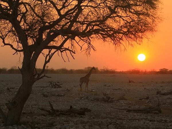 Os melhores lugares do mundo para ver a hora de ouro segundo meteorologista