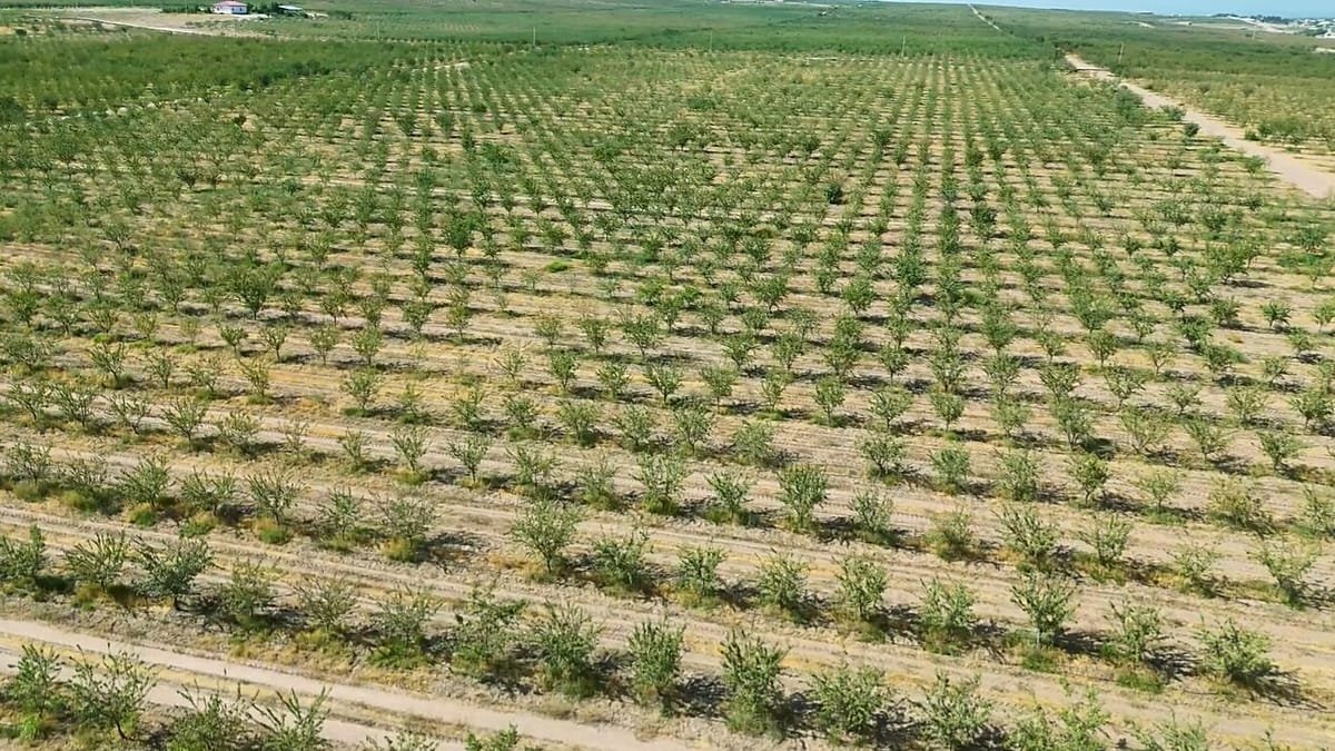 Escassez de água e fretes altos ameaçam segurança alimentar global