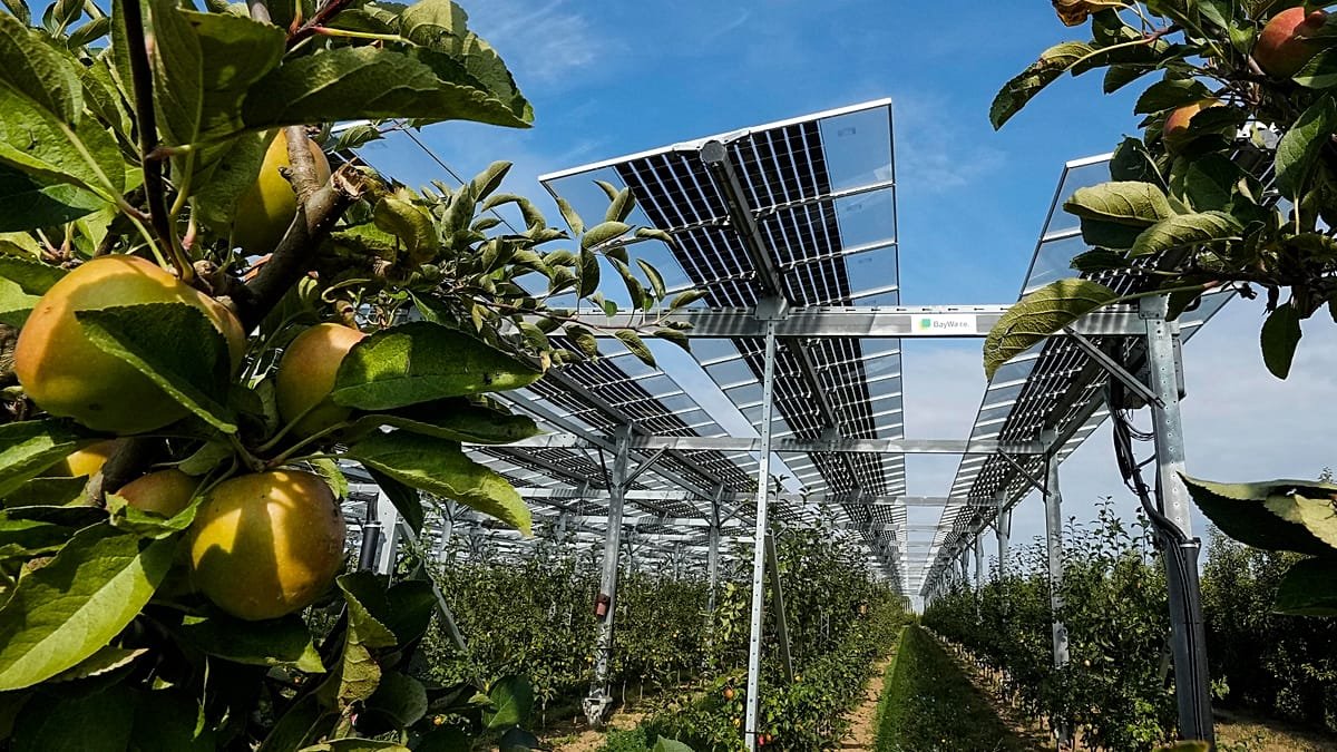 Energia solar e agricultura dividem espaço na Europa