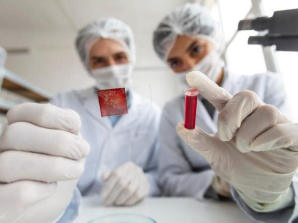 Casos de Febre do Nilo exigem precisão no diagnóstico