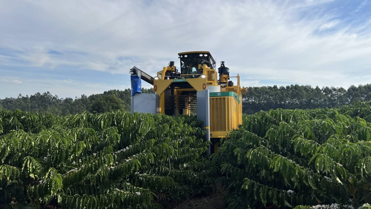 Pedidos de recuperação judicial no agro caem 20,7% no segundo trimestre