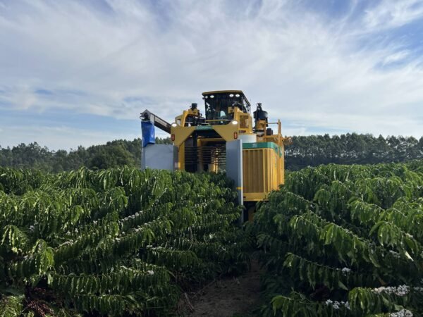 Pedidos de recuperação judicial no agro caem 20,7% no segundo trimestre