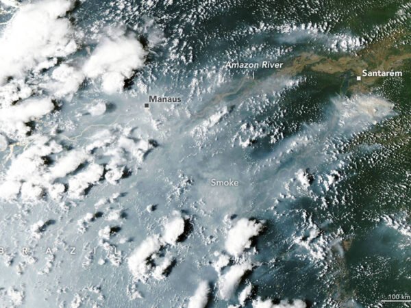 Seca ligada ao El Niño eleva risco de incêndios na Amazônia, diz Nasa