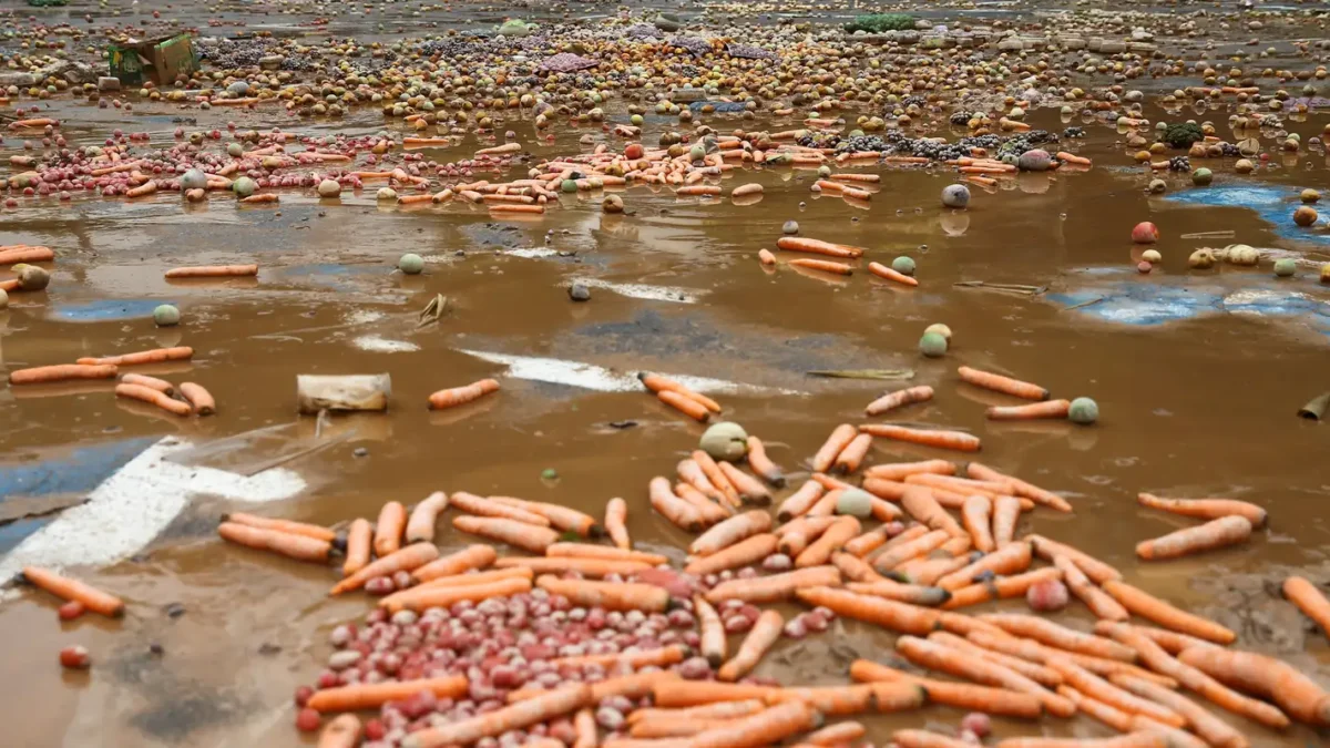 Tempestades causam estragos e interdições em cidades paulistas