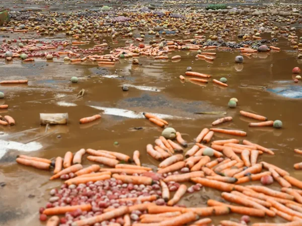 Tempestades causam estragos e interdições em cidades paulistas