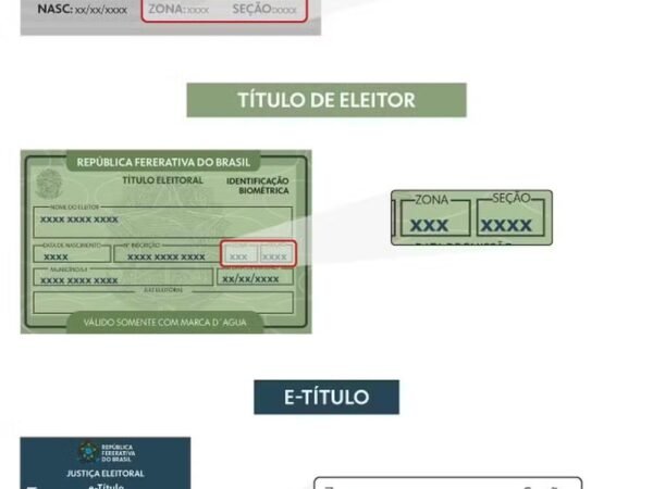 Flavio Bolsonaro lidera votação presidencial em Manaus com mais de 640 mil votos
