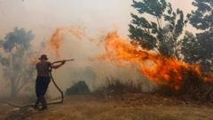 Incêndios florestais na Indonésia geram fumaça tóxica e crise de saúde