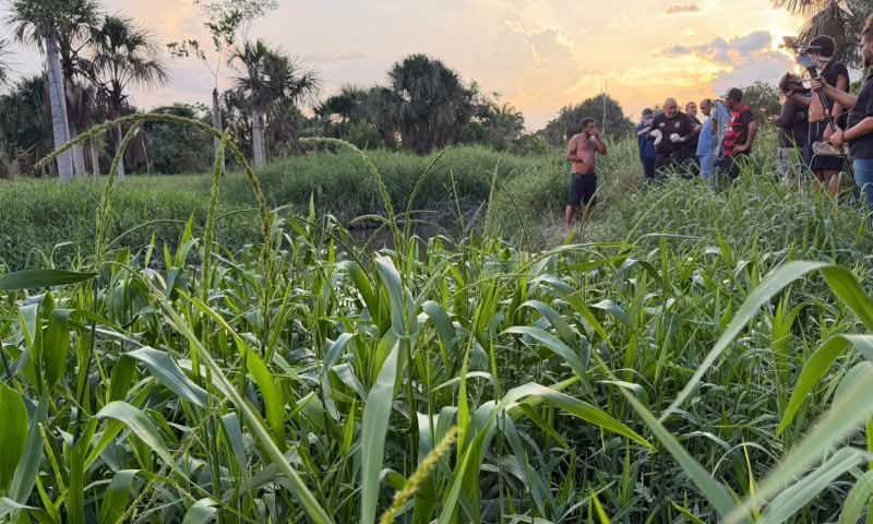 Homem é achado morto com mãos atadas em igarapé na Zona Norte