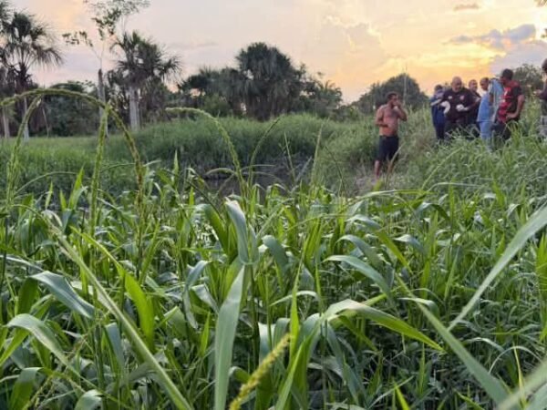 Homem é achado morto com mãos amarradas em igarapé na Zona Norte