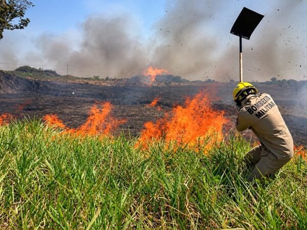Amazonas soma mais de 1,3 mil focos de incêndio no início de outubro