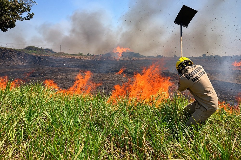 Amazonas soma mais de 1,3 mil focos de incêndio no início de outubro