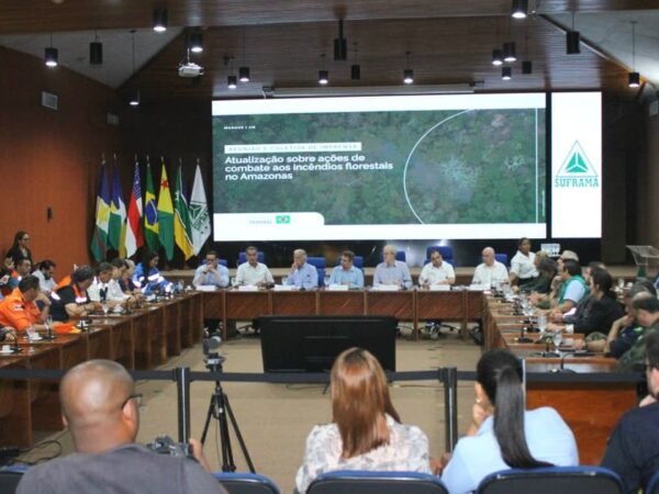 Governo cria Estado-Maior Conjunto para combater queimadas no Amazonas
