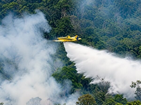 Aviões despejam 10 mil litros de água contra fogo no Amazonas