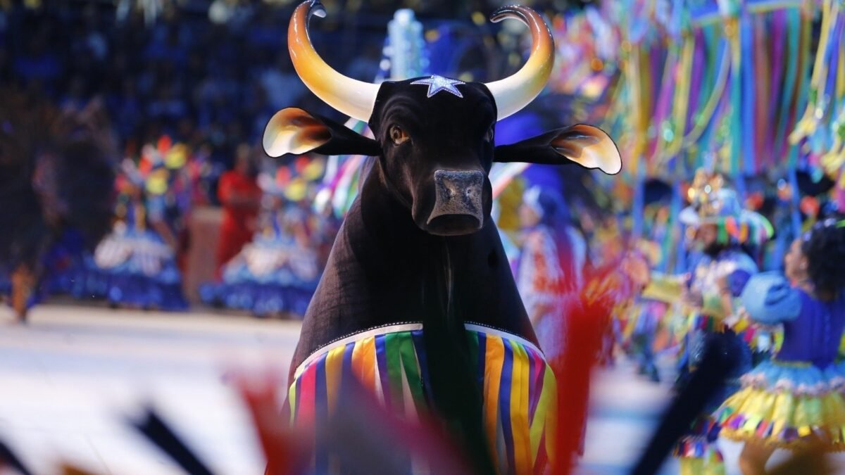Boi Caprichoso celebra 113 anos com festa em Parintins