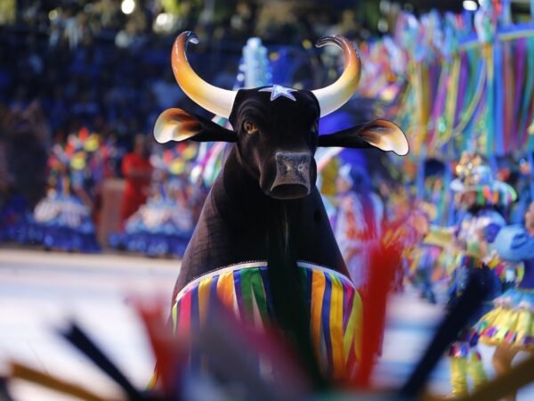 Boi Caprichoso celebra 113 anos com festa em Parintins