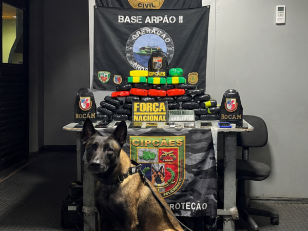 Cão farejador localiza drogas avaliadas em R$ 700 mil no interior do AM