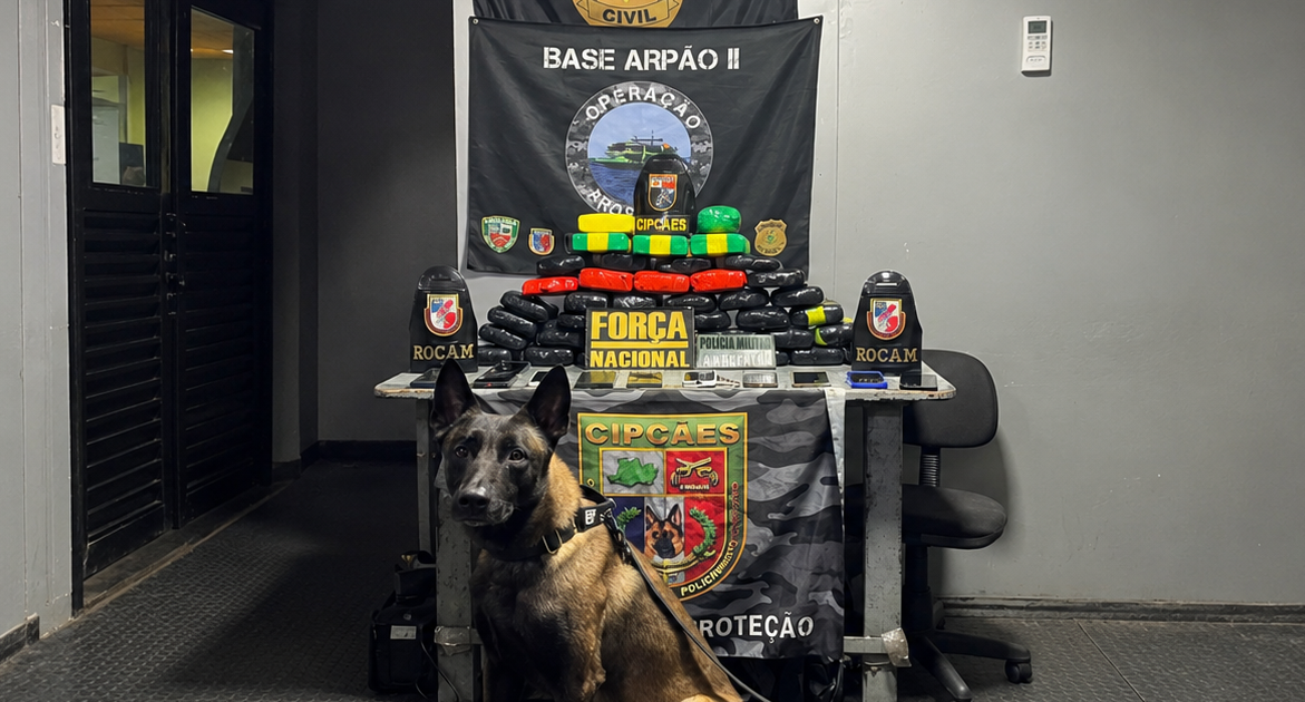 Cão farejador localiza drogas avaliadas em R$ 700 mil no interior do AM