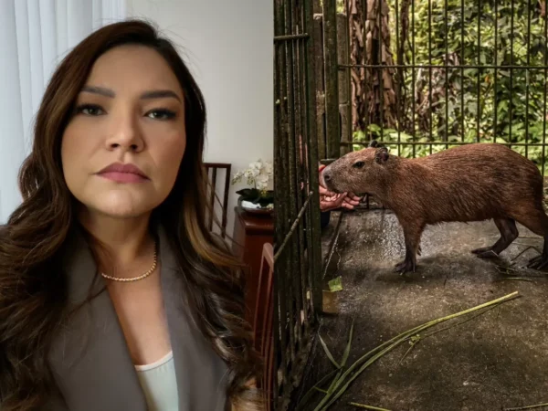 Justiça determina prazo de 30 dias para entrega da capivara Filó ao Ibama