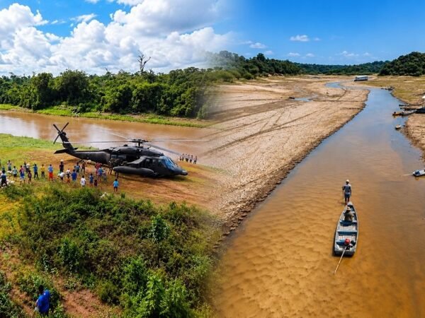 Seca e incêndios atingem o Amazonas e afetam mais de 100 mil famílias