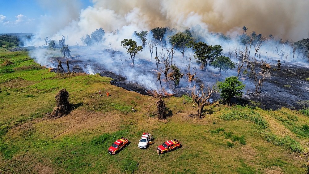 Amazonas decreta emergência em 36 cidades por causa de incêndios