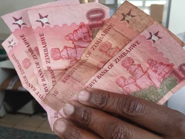 Zimbabue tenta impor nova moeda e superar crise financeira