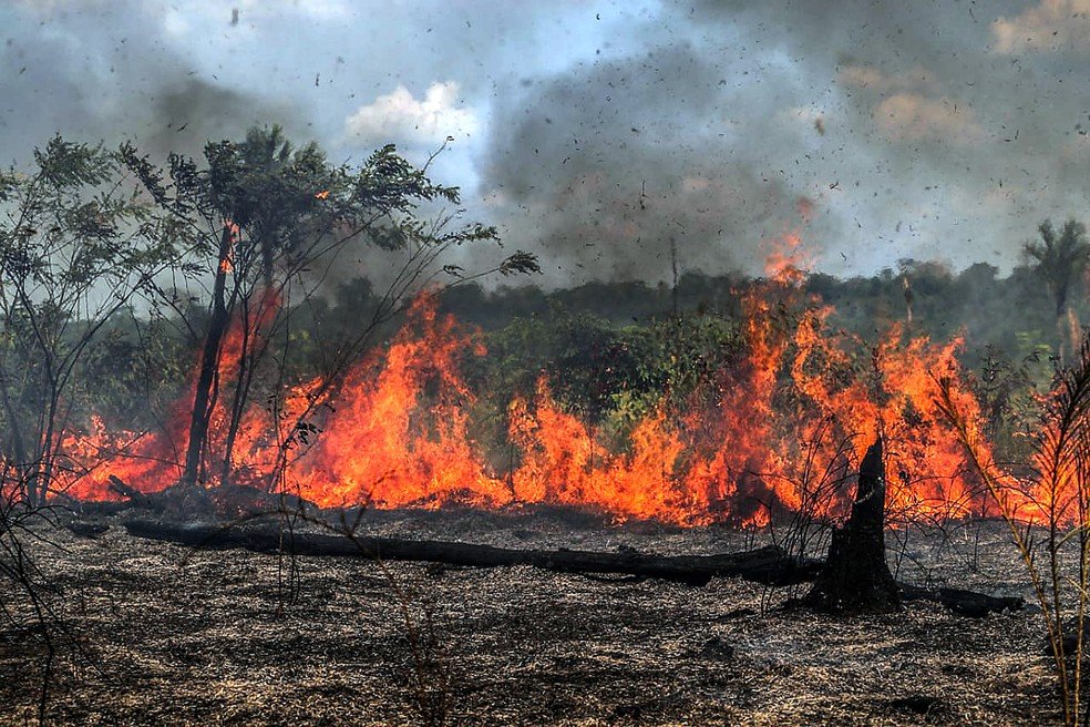União amplia combate a incêndios no Amazonas com 290 agentes