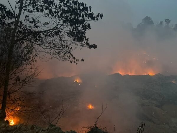 Focos de incêndio disparam no Amazonas e governo aponta crime