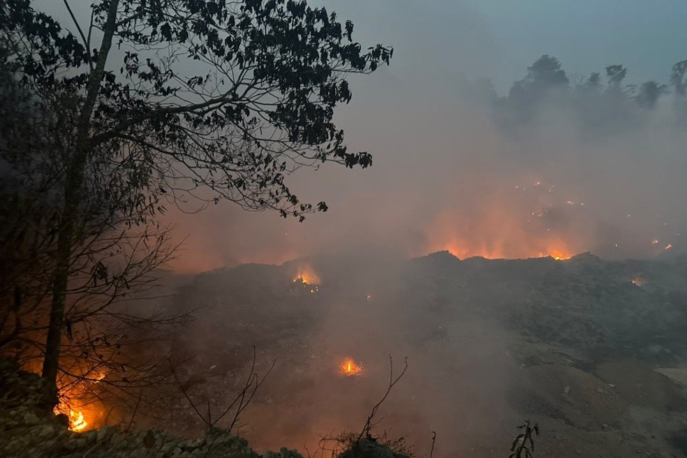 Focos de incêndio disparam no Amazonas e governo aponta crime