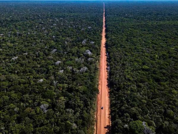TCU inclui pavimentação da BR-319 em lista de prioridades federais