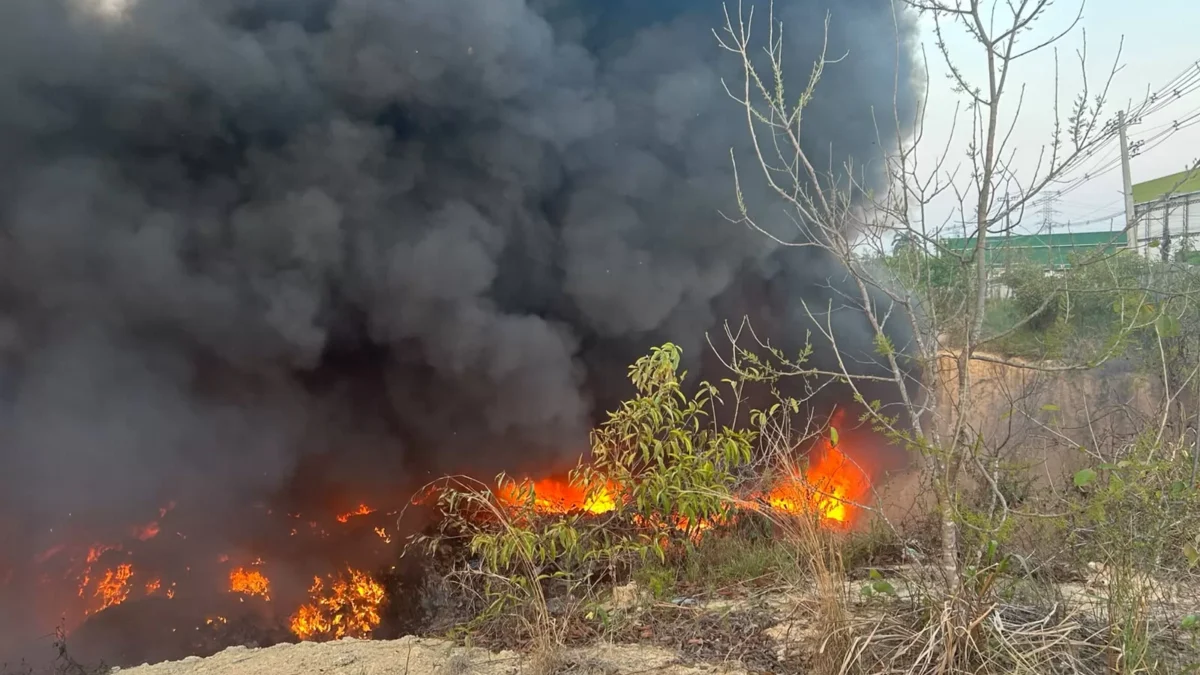Queimadas ilegais no Amazonas podem render multa de R$ 10 mil por hectare