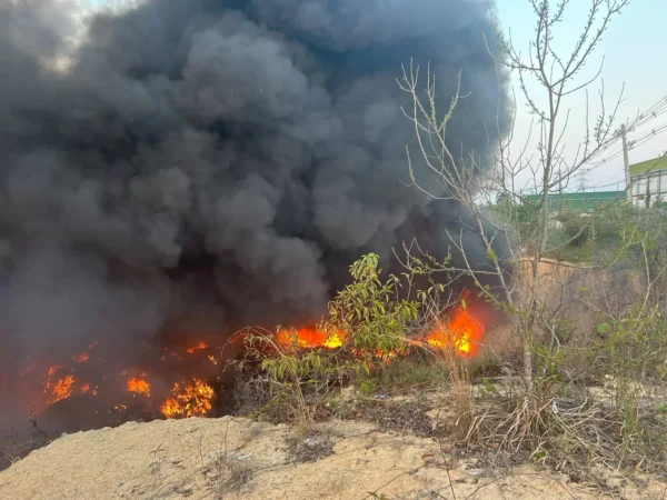 Queimadas ilegais no Amazonas podem render multa de R$ 10 mil por hectare