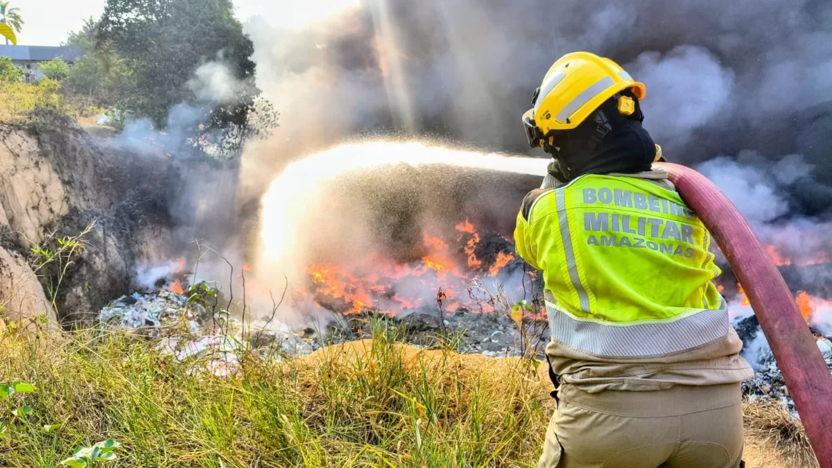 Incêndios florestais colocam 36 cidades do Amazonas em emergência