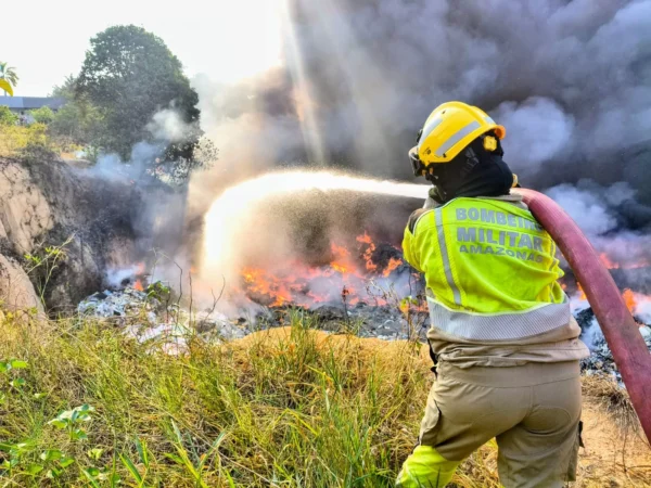 Incêndios florestais colocam 36 cidades do Amazonas em emergência