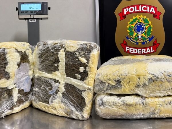 Passageira saindo de Manaus é presa com 34 kg de skunk em Recife