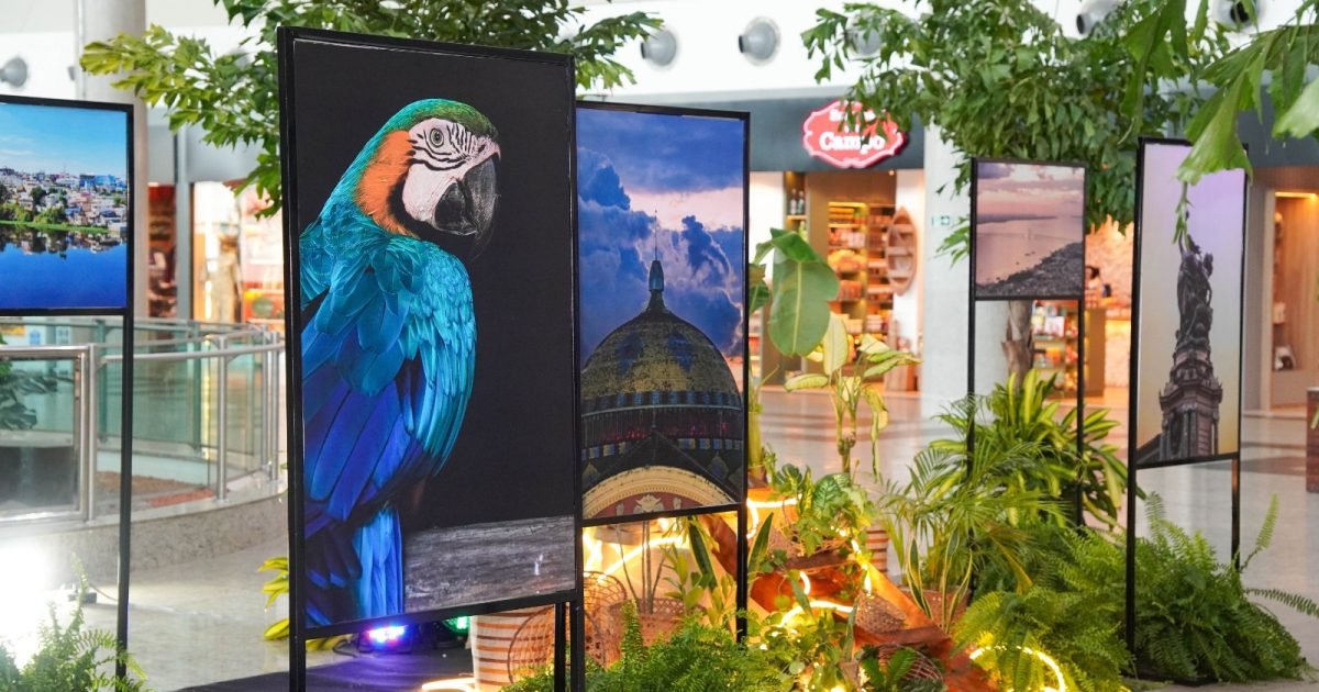 Aeroporto de Manaus recebe exposição fotográfica pelos 357 anos da cidade