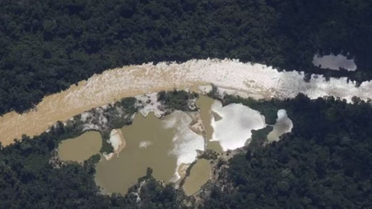 Homem vira réu por garimpo ilegal em parque nacional no Amazonas