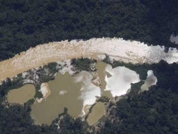 Homem vira réu por garimpo ilegal em parque nacional no Amazonas