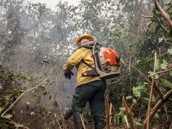 Amazonas registra explosão de queimadas e governo aponta crime