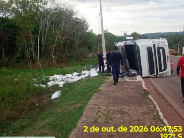 Carreta tomba com 30 toneladas de trigo na BR-174