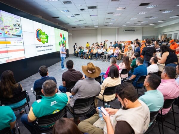 Governador debate situação de incêndios florestais com ministros