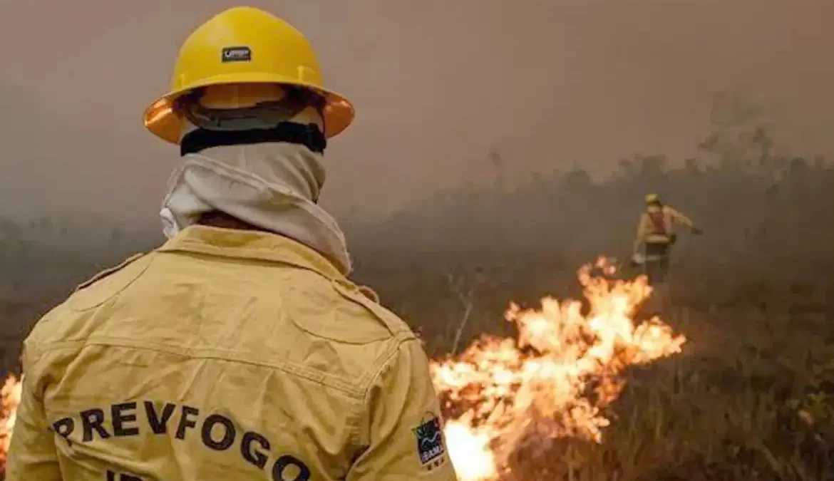 Força-tarefa elimina 300 focos de incêndio no Amazonas