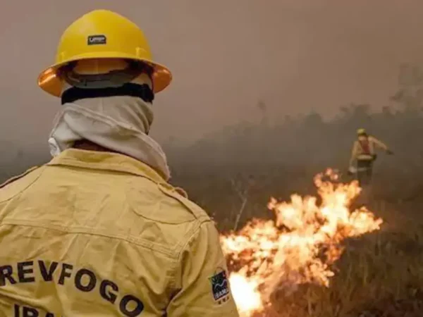 Força-tarefa elimina 300 focos de incêndio no Amazonas